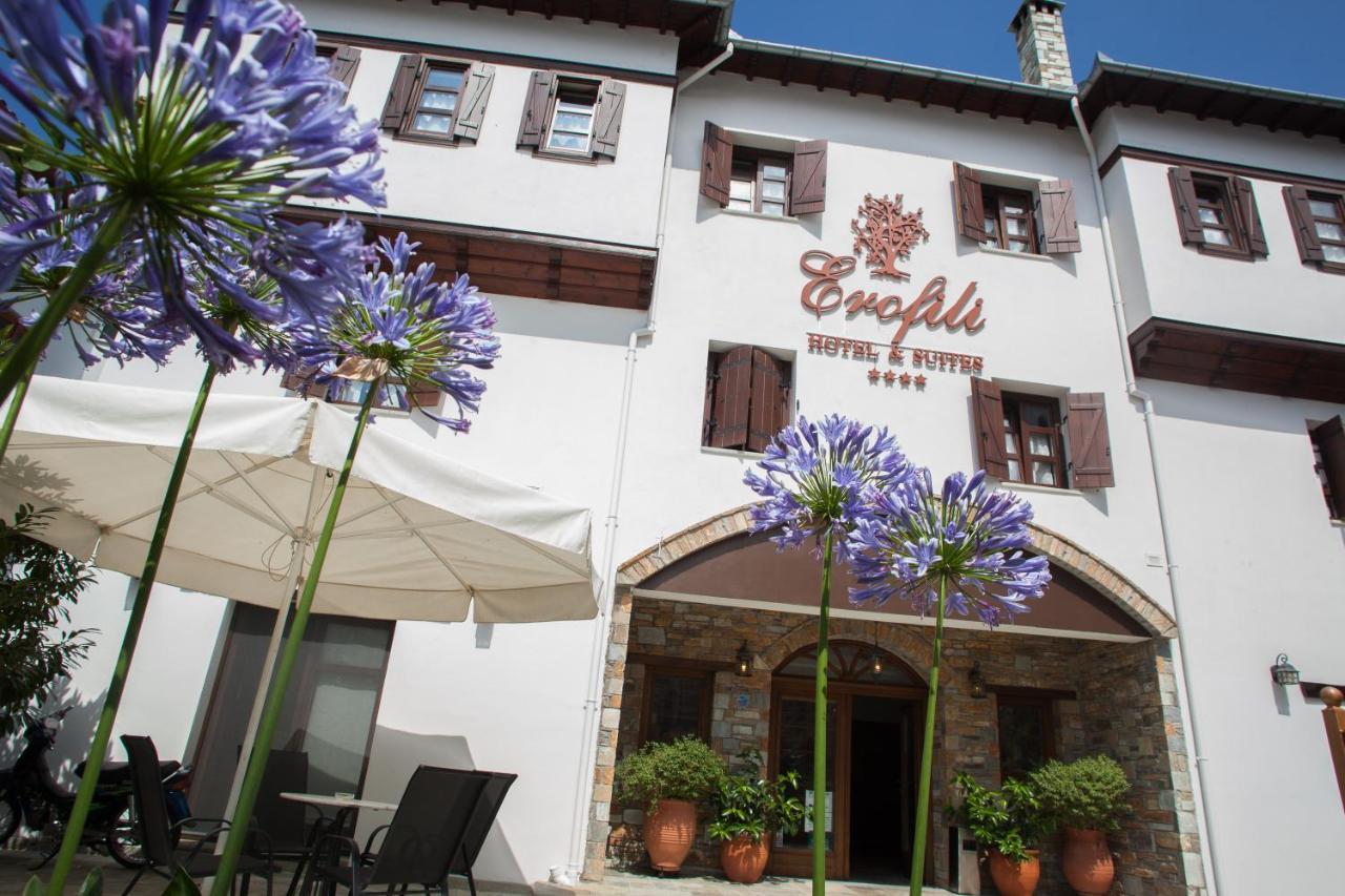 Erofili Hotel & Suites Portariá Zewnętrze zdjęcie