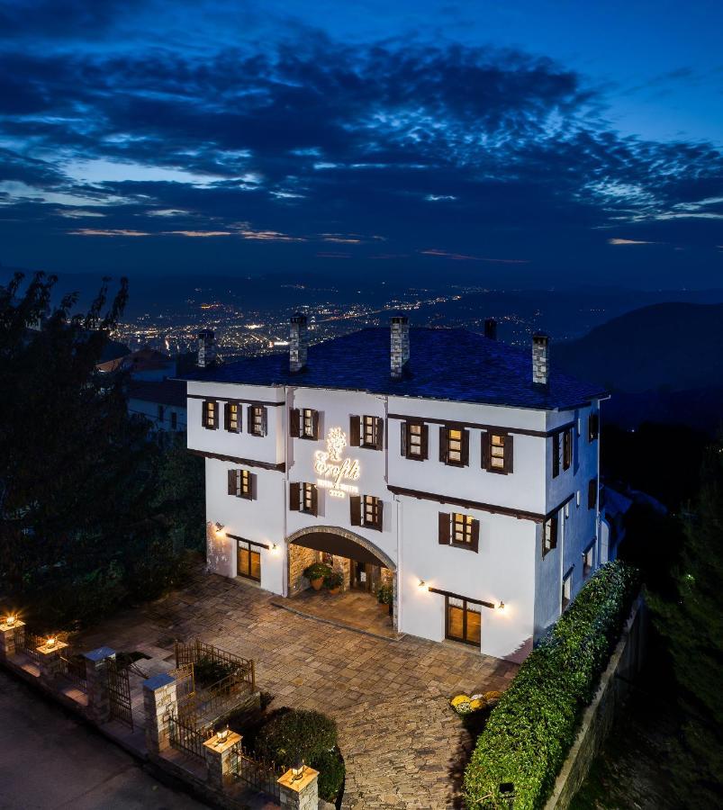 Erofili Hotel & Suites Portariá Zewnętrze zdjęcie
