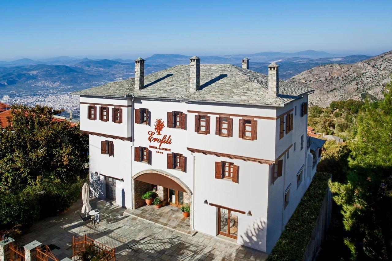 Erofili Hotel & Suites Portariá Zewnętrze zdjęcie